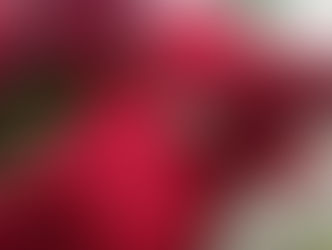 今日は葉水の日です!😃✨