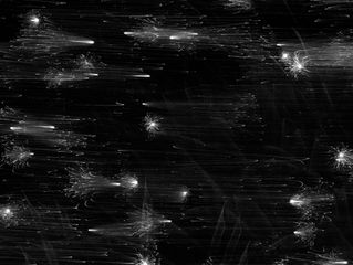 Koukai Series 2010-17