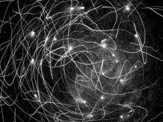 Koukai Series 2019-2