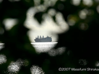 サイパンシリーズ2007-44