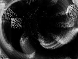 Koukai Series 2019-18