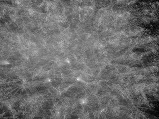 Koukai Series 2009-33