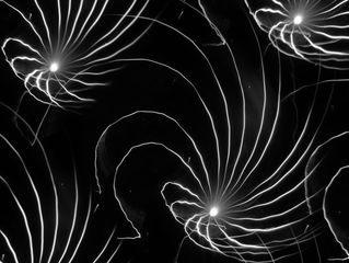 Koukai Series 2012-72