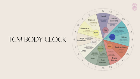 TCM Body Clock