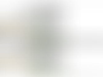 ATUALIZAÇÃO DO VALOR DE BENS IMÓVEIS (III)