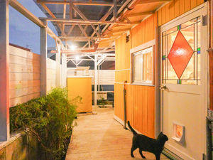 【初心者DIY】裏庭をDIYの作業スペースにする計画