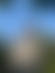 Quinta da Regaleira palace ins Sintra