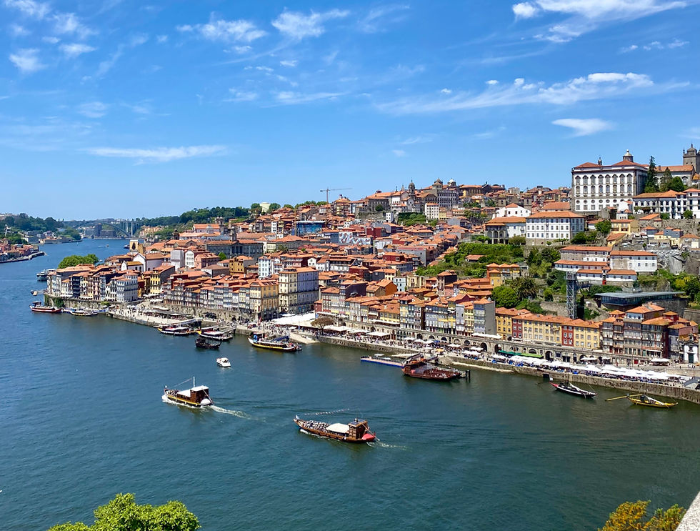 The view of Port from the Luis I Bridge