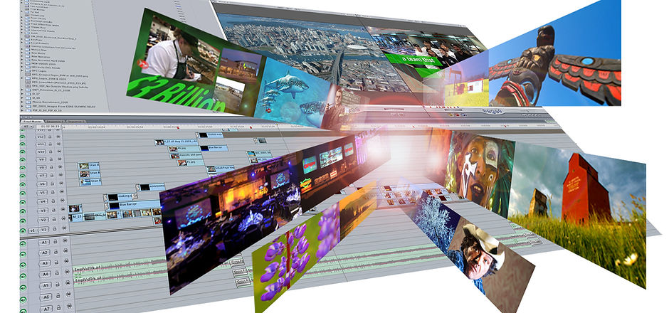 DLPScreen1 copy.jpg