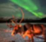 bilde 23.12.2025, 19 55 10.jpg