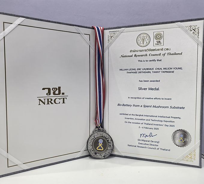 WhatsApp Image 2025-02-06 at 12.48.18_090fa07d.jpg