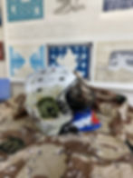 thumbnail_IMG_1995 (1)