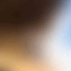 A man standing on a tree house balcony.