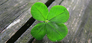 Herní projev Béčka žen se zlepšuje, body to zatím ale nepřineslo