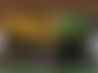 Mladší a starší dorostenci vítězní