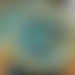 GFCVM Solvent/Latex vs TORINO 17M