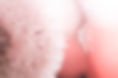 Macro shot of dandelion seeds background in pastel pink colors.jpg