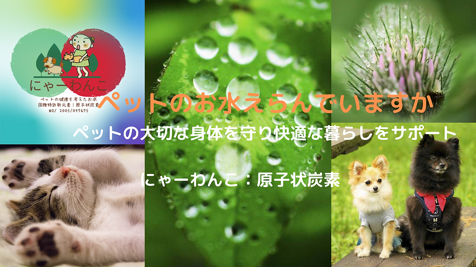 ピンク 黒 母の日 Blogバナー (5).png