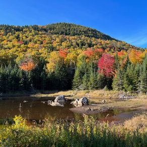 Autumn...a time of splendor