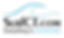 SurfCT_Silver.png