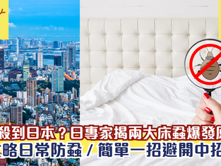 床蝨殺到日本？日本專家揭兩大床蝨爆發原因 氣候變化不會冬眠！教你防蝨全攻略！