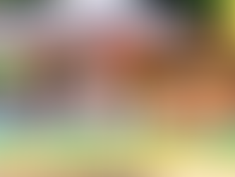 香港迪士尼樂園推TSUM TSUM玻璃瓶 只需$259限時任裝安娜公主/小木偶迷你公仔