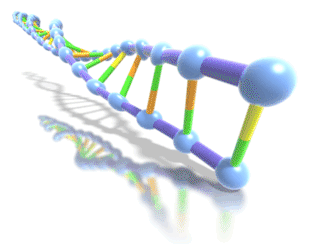 dna_helix_725.gif