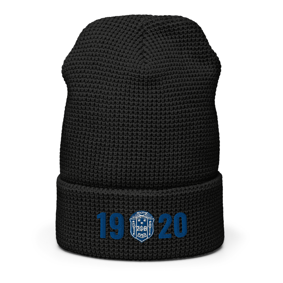 Thumbnail: ZPB 1920 Waffle Beanie