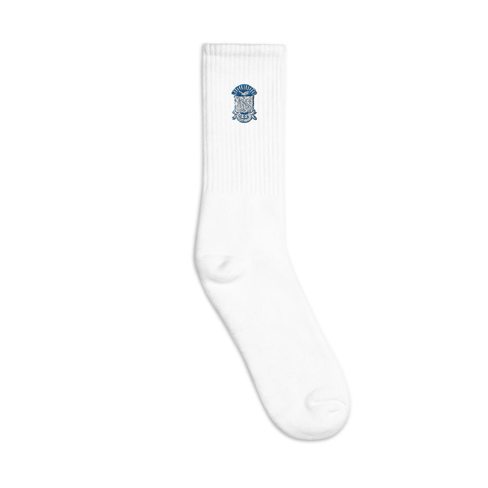 Thumbnail: PBS Embroidered Shield socks