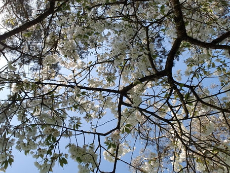 Resourcing your nervous system: 3 gentle starters