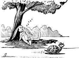 "I wasn't in the race with the tortoise," said the rabbit.