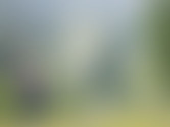 mt. friendship expedition