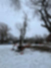 IMG-20250205-WA0006.jpg