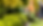 lawn care (1).png