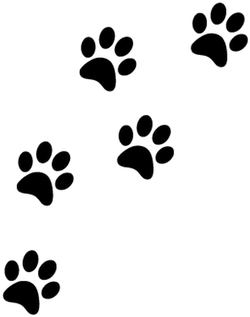 Cat paw prints vector