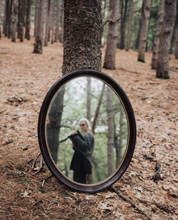 Mirror in a forest
