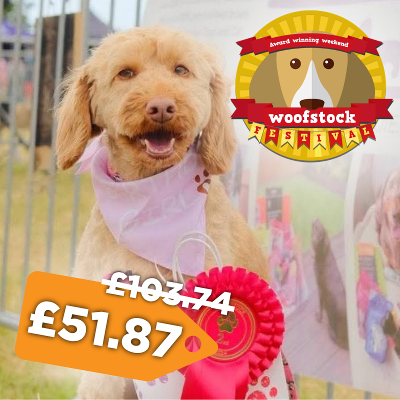 Woofstock Family Ticket