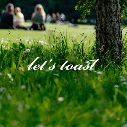 Toast to Together_1.gif