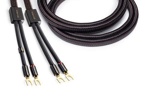 Clarus Crimson speaker cable