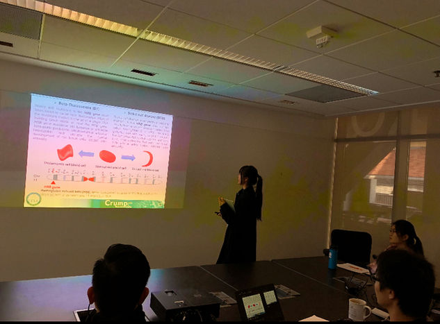 Kerry is presenting_UCB.jpg