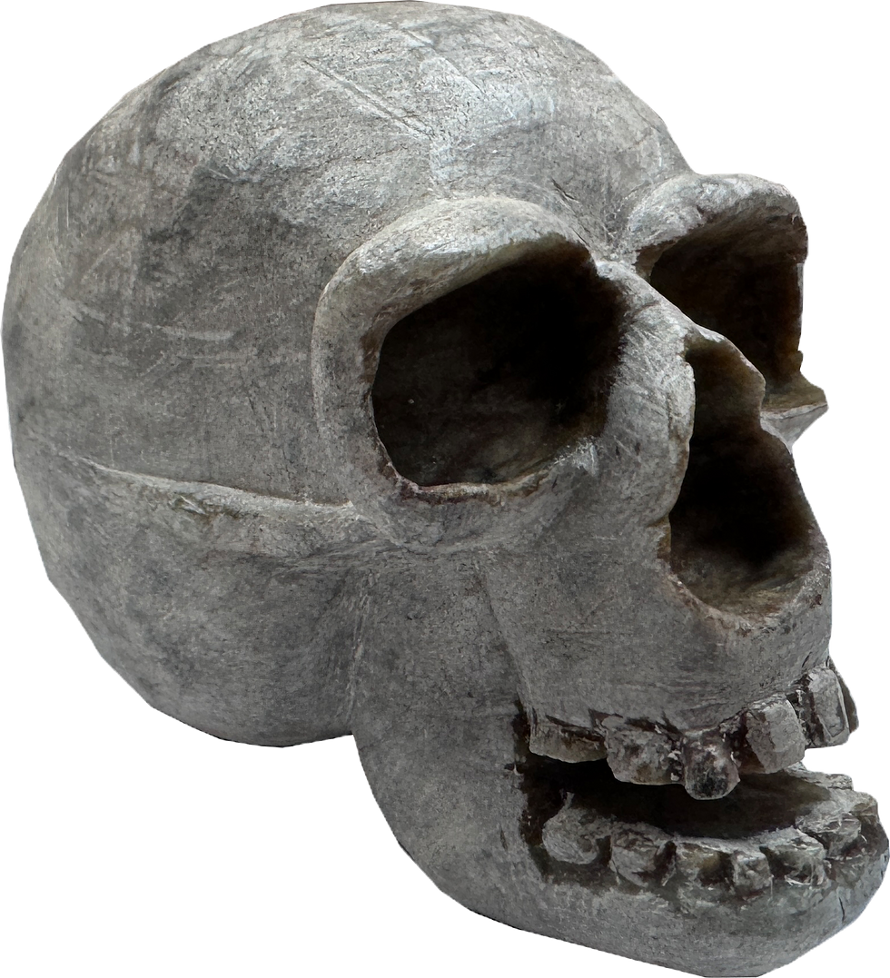 Thumbnail: Skull Large Soapstone Carving Kit