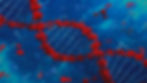 part of the dna