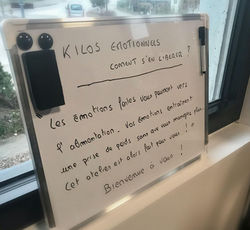 kilos émotionnels nathalie seyller_edited