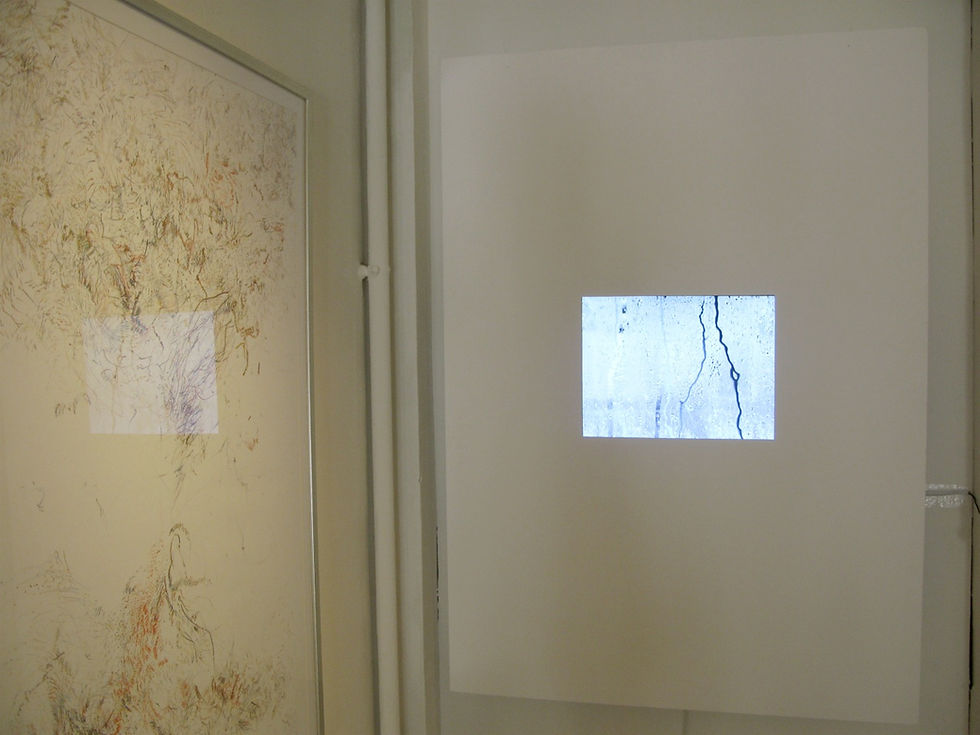 installation view