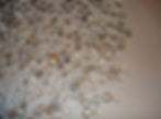 silent murmuring detail