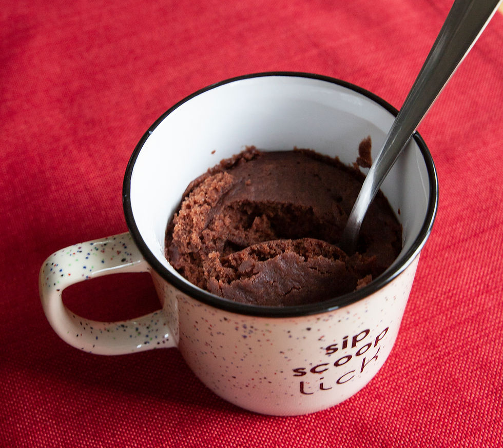 Make Your Own Hot Cocoa Mug Cake