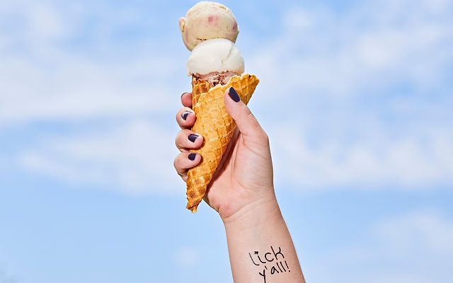 Licks ice cream best sale