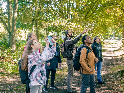 Weekend Walks in Nature - Wild Eindhoven