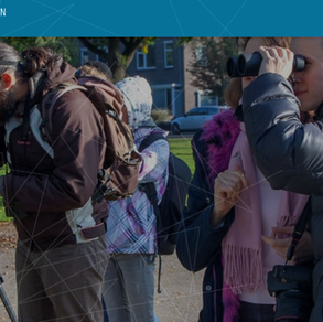 Wild Eindhoven teams up with the High Tech Campus Eindhoven!