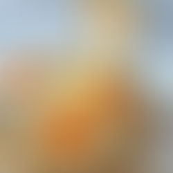 Veganer Karottenlachs*